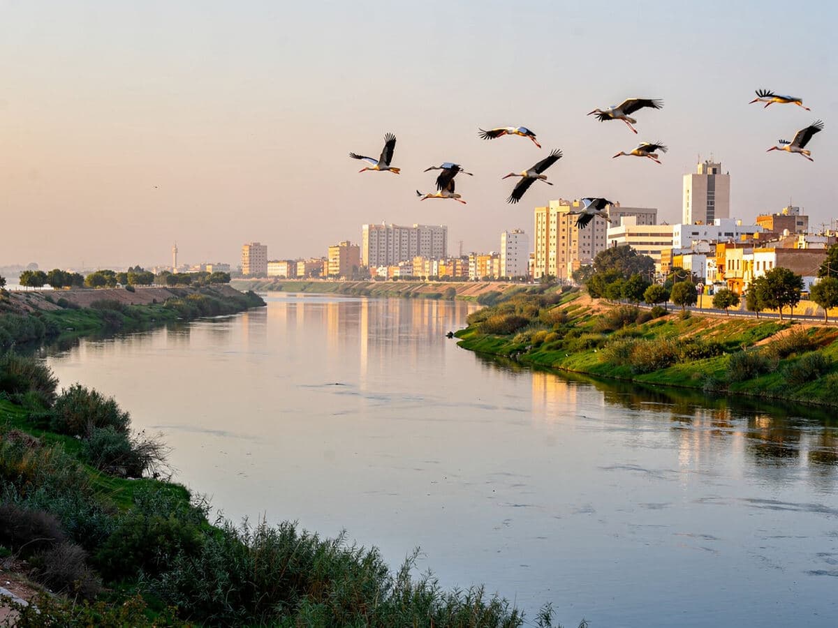Kenitra